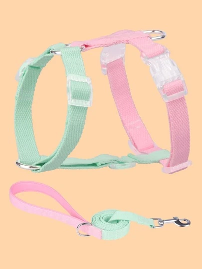 1入組撞色寵物背帶和1条皮带適用於貓和狗狗適用於戶外