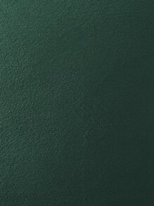 1pc Pom Pom Plain Velvet Cushion Cover Without Filler Home Gift - Dark Green - View 6