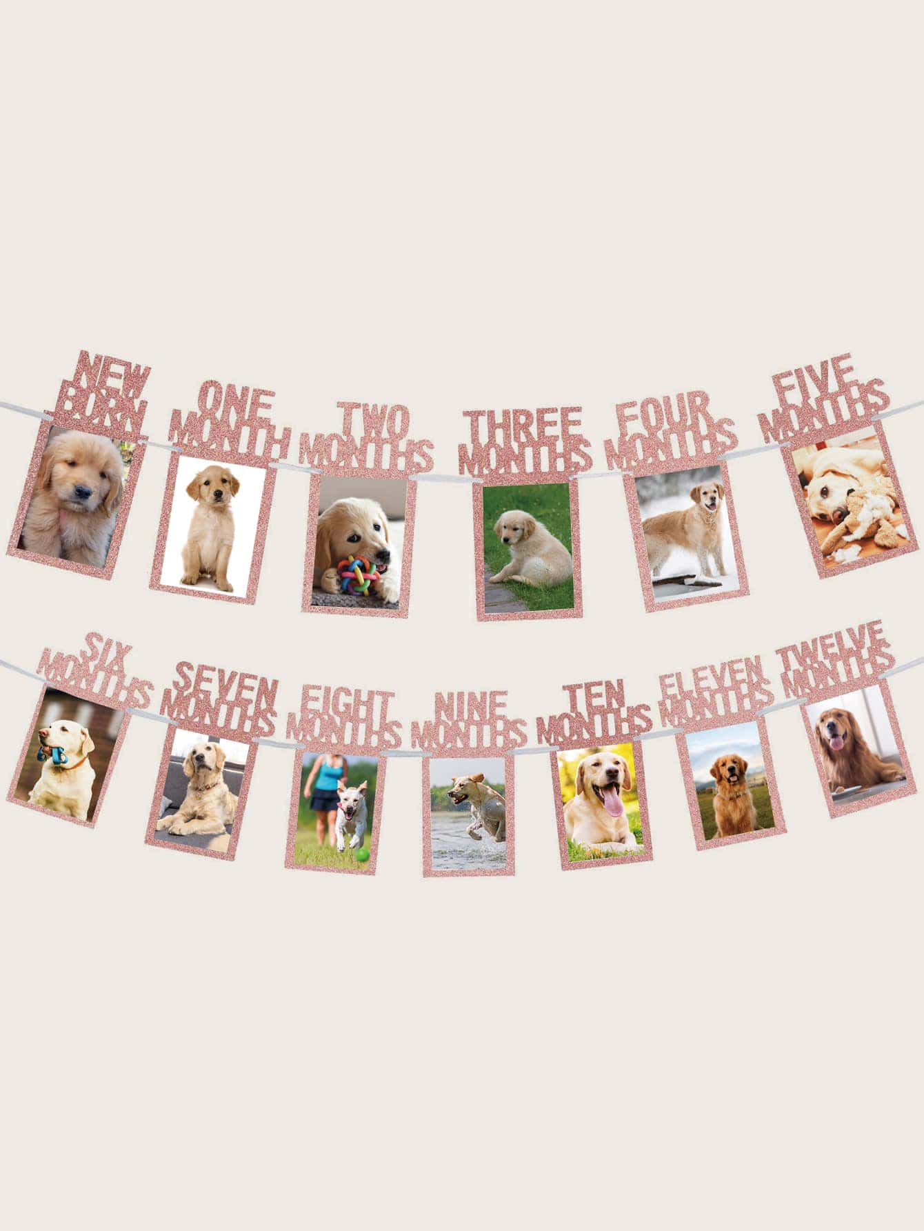 1st Birthday  Photo Banner For Newborn To 12 Months, Monthly Milestone Photograph Bunting Garlan - Rose Gold - View 1