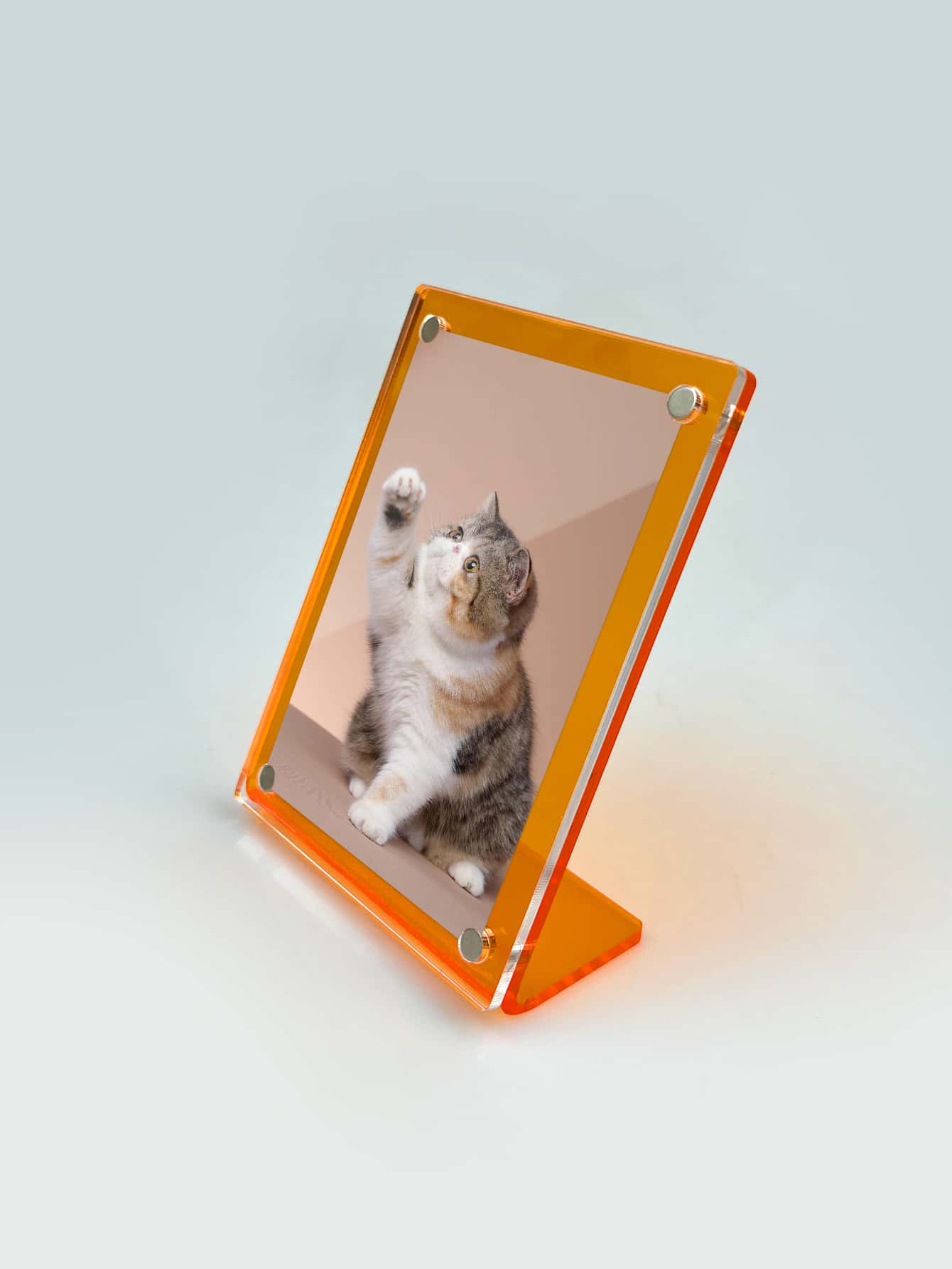 Magnetic 3 Inch Photo Frame | SHEIN USA