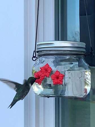 1入組鐵製掛花裝飾餵鳥器用於餵水