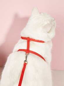 No Pull Harness For Outdoor Walking - Multicolor - View 2