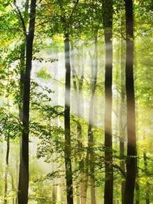 2 cái/bộ Rèm Họa Tiết Cây, Rèm Polyester Mất Điện Cho Phòng Ngủ Và Phòng Khách - Nhiều màu - Xem 4