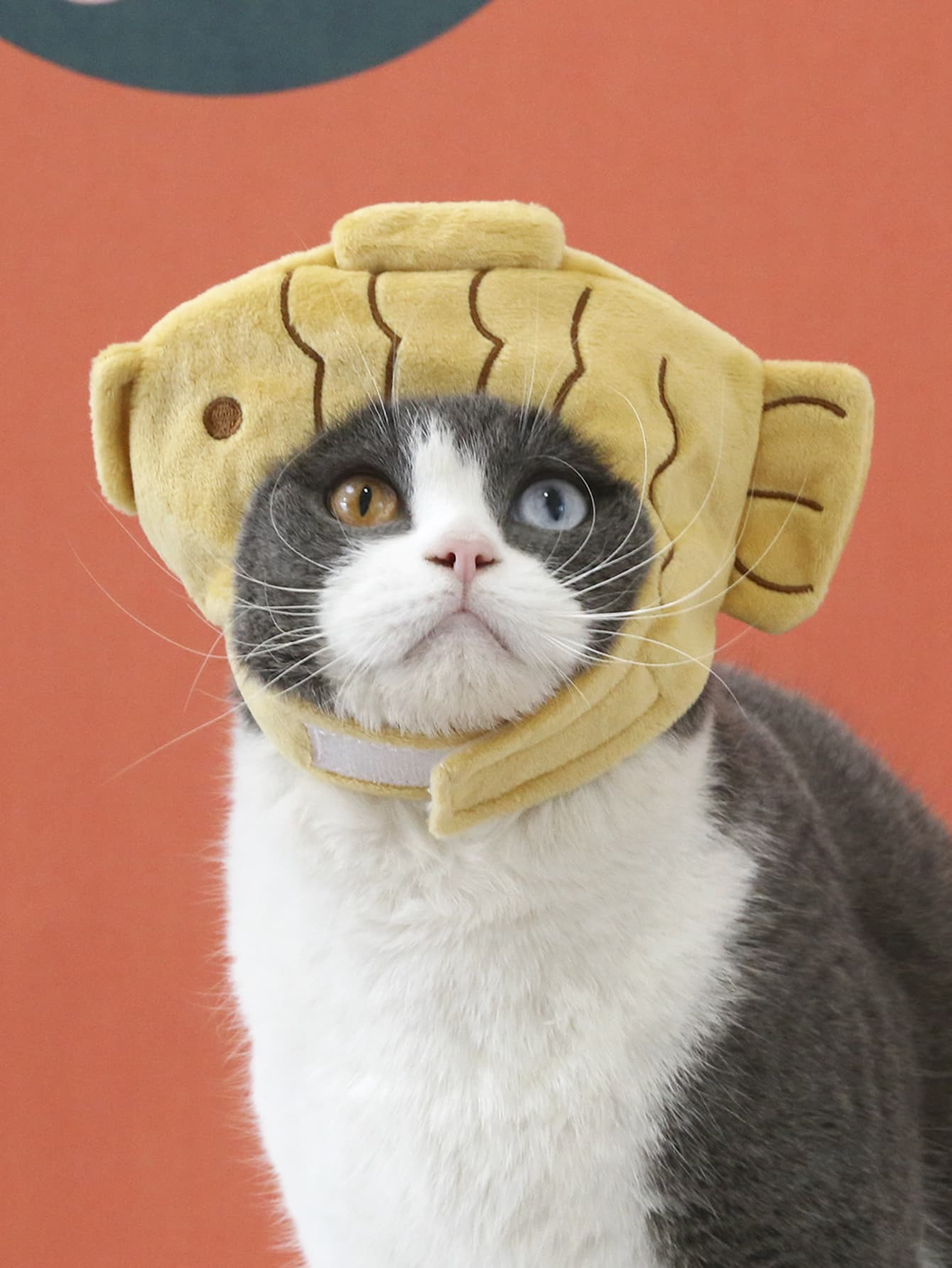 1 pieza Sombrero de mascota de pez para gato con perro para accesorio para foto - Multicolor - Ver 1