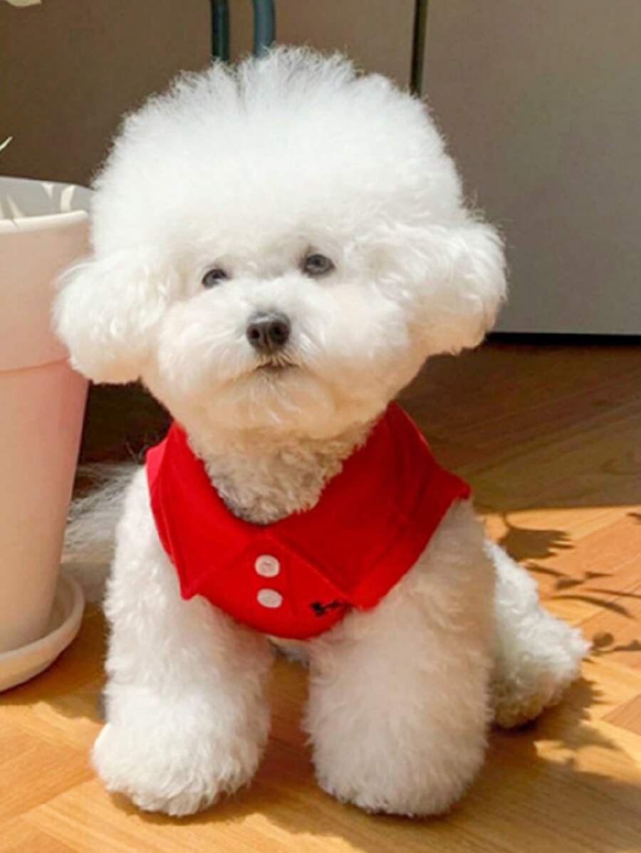 áo sơ mi thú cưng thêu hoạt hình cho mèo và chó cho mùa hè - Đỏ - Xem 1