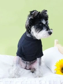 1入組爪子和標語圖案寵物T恤衫適用於貓和狗狗適合夏天 - 黑色 - 查看 2