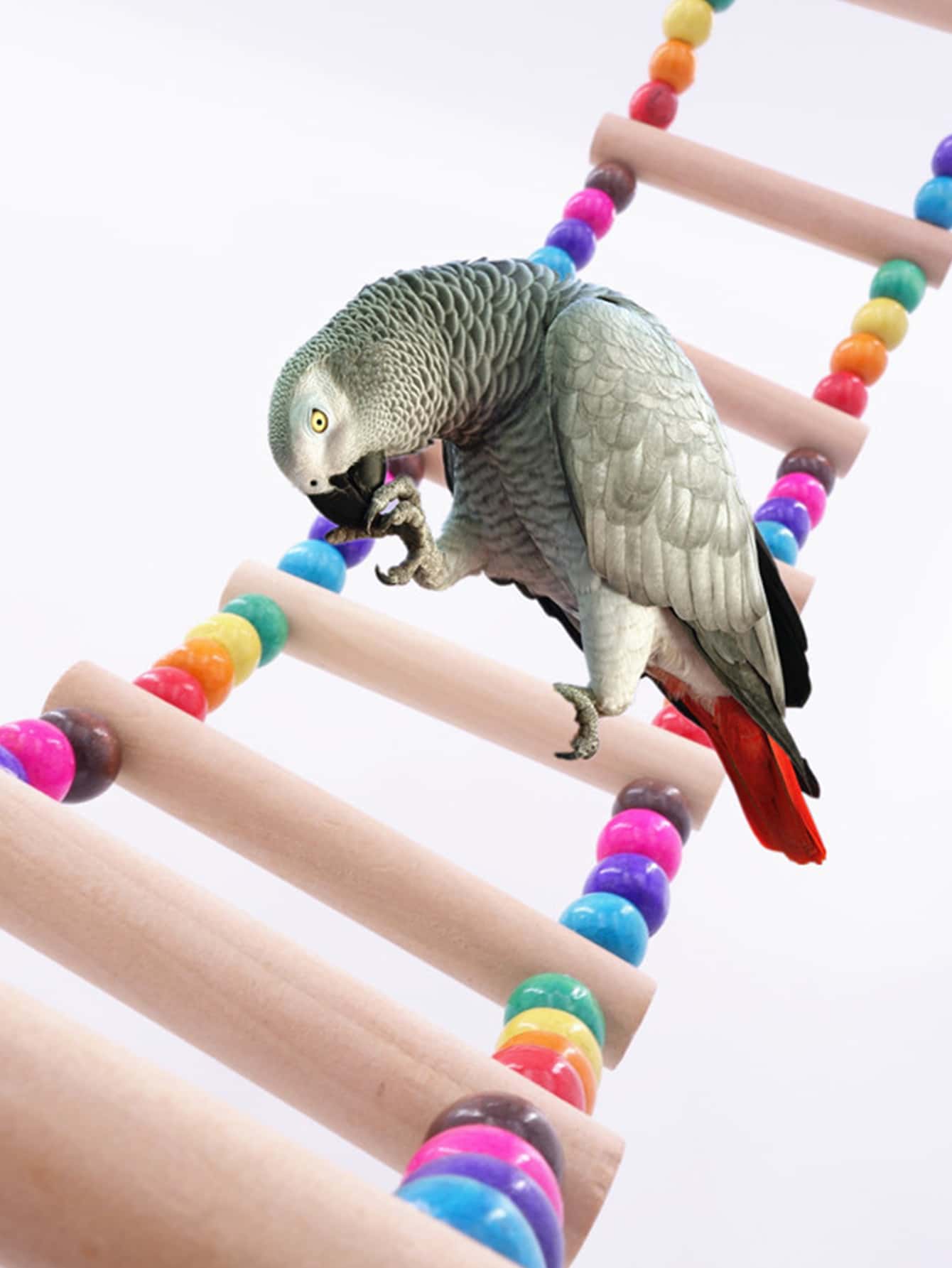 1入組珠子裝飾梯子設計隨機鸚鵡玩具鳥攀爬 - 彩色 - 查看 1