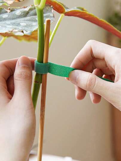 3入組植物繃帶花園植物造型尼龍繃帶