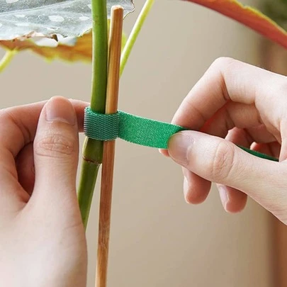 3入組植物繃帶花園植物造型尼龍繃帶