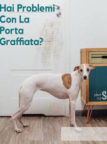 2pcs Clear Pet Sofa Anti-scratch Protector Pad For Cat And Dog For Furniture Protector - Clear - View 3