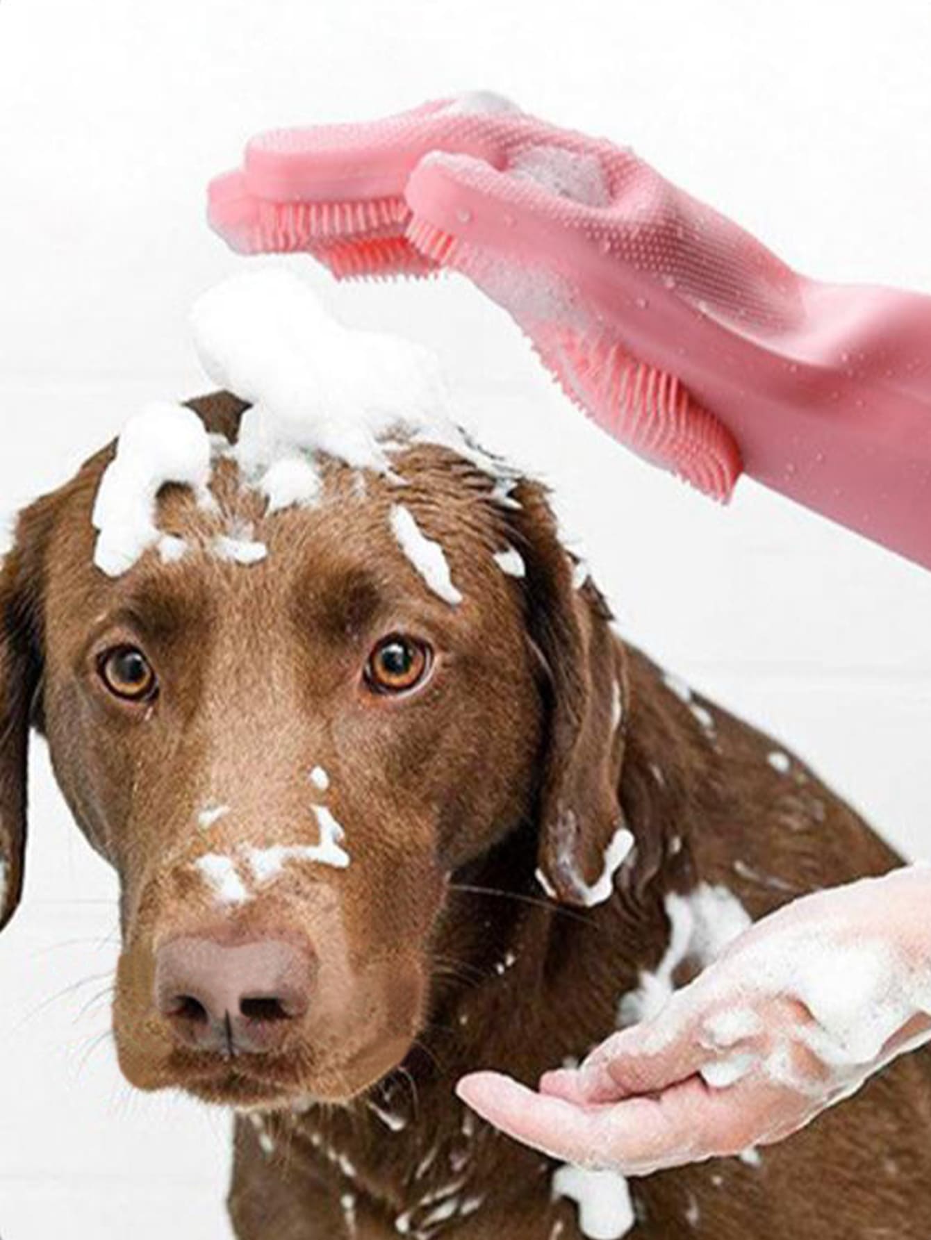 1pc Random Color Pet Bath Massage Glove For Dog And Cat For Shower - Multicolor - View 1