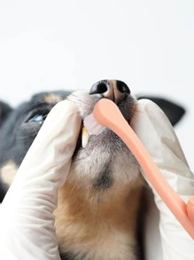 1入組隨機色寵物牙刷適用於狗狗和貓適用於牙清潔 - 彩色 - 查看 5