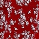 Red and White