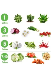 1 túi vải không dệt trồng cây, túi trồng cây màu đen đơn giản cho vườn - màu đen - Xem 4