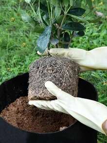 1 túi vải không dệt trồng cây, túi trồng cây màu đen đơn giản cho vườn - màu đen - Xem 6