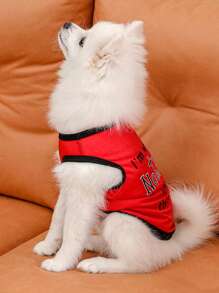 1套紅色夏季有字母印花的狗狗衣服 - 紅色 - 查看 2