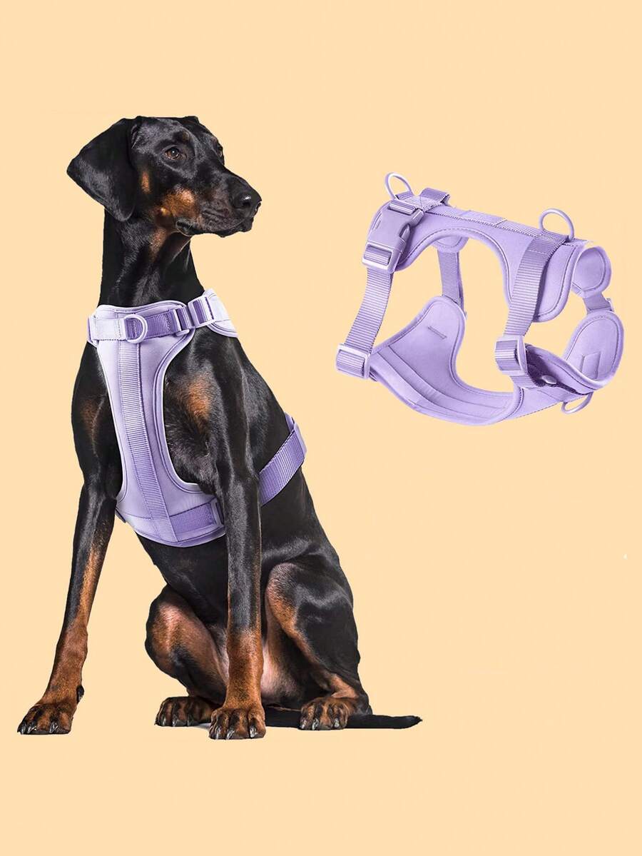 1 dây nịt thú cưng thoáng khí cho chó và mèo ngoài trời - Màu tím hoa cà - Xem 1