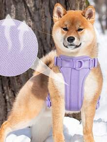 1 dây nịt thú cưng thoáng khí cho chó và mèo ngoài trời - Màu tím hoa cà - Xem 4