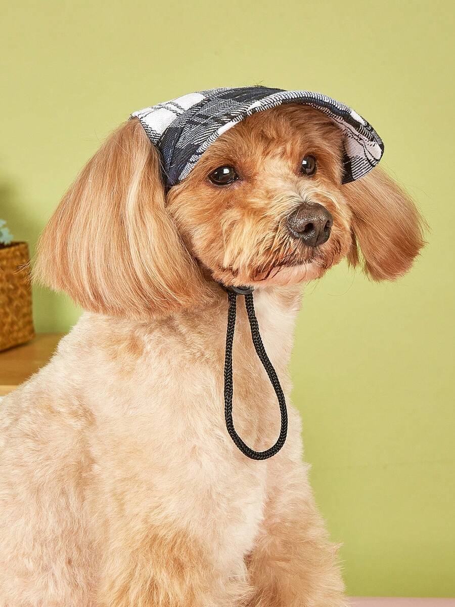 1pc Plaid Print Pet Hat For Dog For Outdoor - Multicolor - View 1