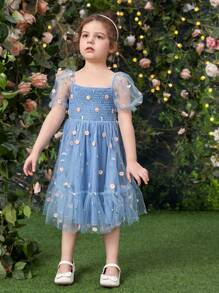 SHEIN Toddler Girls Floral Embroidery Mesh Overlay Dress - Blue - View 5