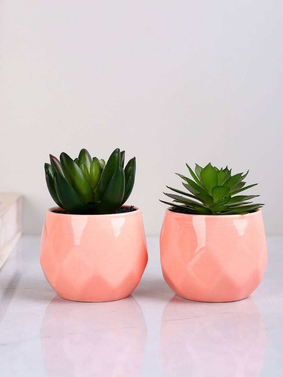 2 cái/bộ PVC Nhân Tạo Chậu Cây Mọng Nước, Giả Chậu Trang Trí Trang Trí Bàn - Hồng - Xem 1