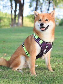 1入組可調節寵物背帶適用於狗狗和貓適用於戶外 - 紫色 - 查看 2