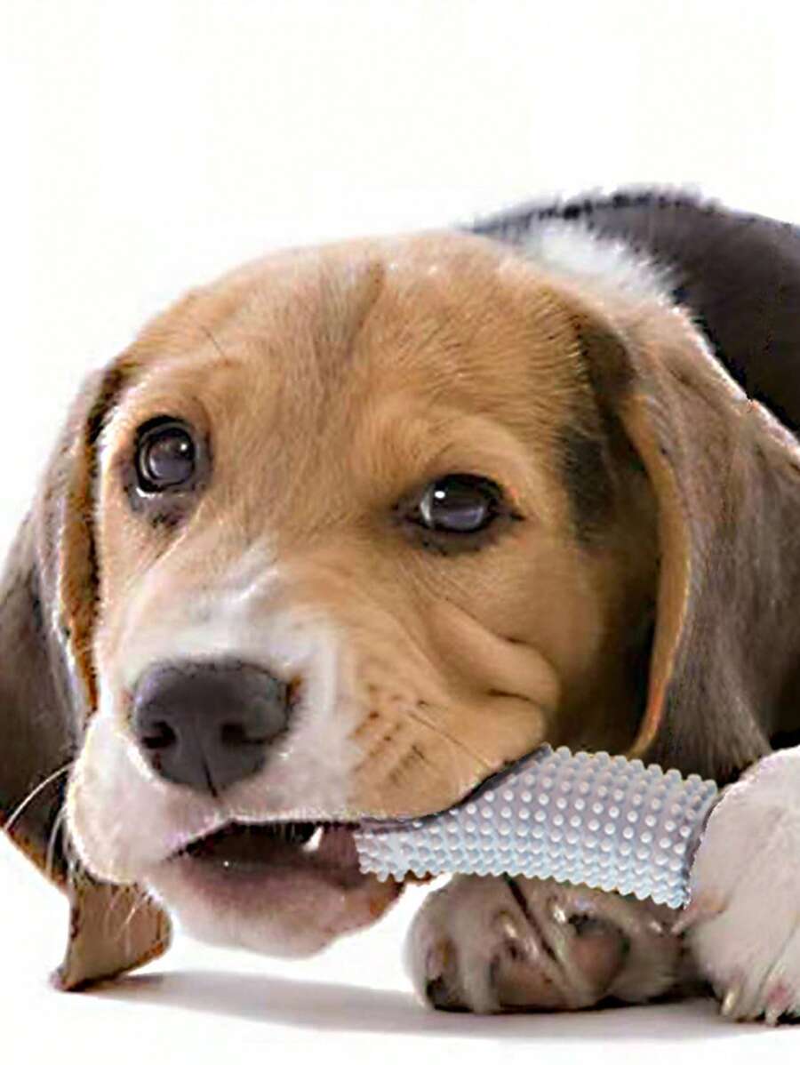 1pc Banana Design Random Pet Chew Toy For Dog And Cat For Teeth Grinding - Multicolor - View 1