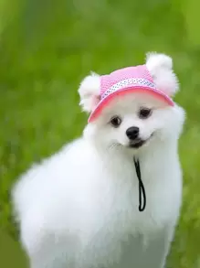 Nơ trang trí chó mũ bóng chày - Màu Hồng  Dưa hấu - Xem 1