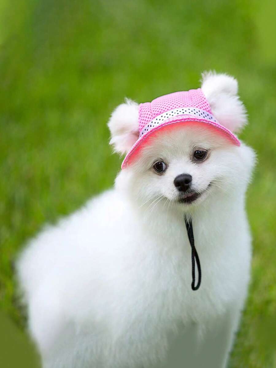 Nơ trang trí chó mũ bóng chày - Màu Hồng  Dưa hấu - Xem 1