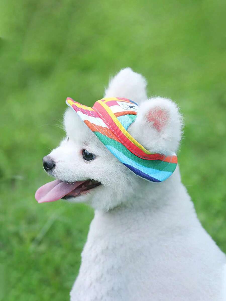 1pc Breathable Pet Hat For Dog For Outdoor - Multicolor - View 1