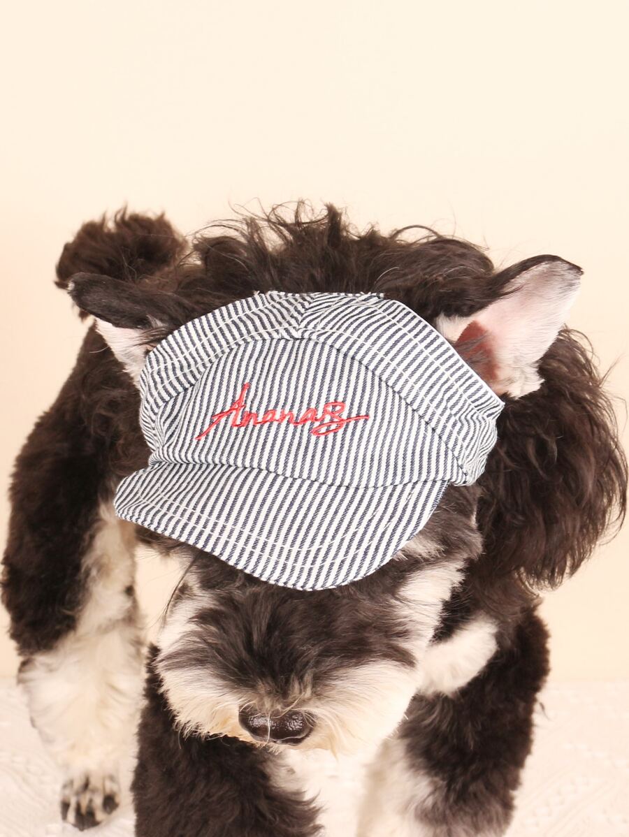 1pc Striped Print Pet Hat For Dog For Outdoor - Multicolor - View 1