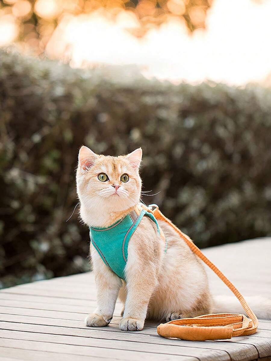 1pc Reflective Pet Harness & 1pc Leash For Cat And Dog For Outdoor - Green - View 1