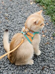 1pc Reflective Pet Harness & 1pc Leash For Cat And Dog For Outdoor - Green - View 2