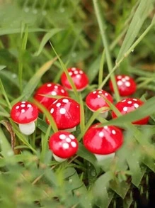 10pcs Mushroom Design Garden Decoration Craft - Red - View 5