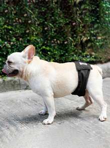 1 Chữ Đồ Họa Miếng Dán Trang Trí Vệ Sinh Cho Thú Cưng Quần Cho Chó Cho Thời Kỳ Sinh Lý - màu đen - Xem 2