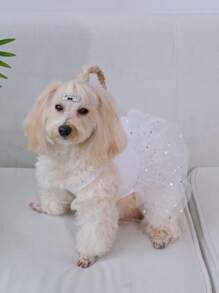 1pc Star Decor Pet Dress For Dog And Cat For Spring - White - View 6