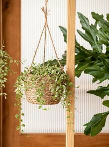 1pc Straw Plant Hanger, Bohemian Braided Detail Hanging Planter Basket For Garden - Multicolor - View 6