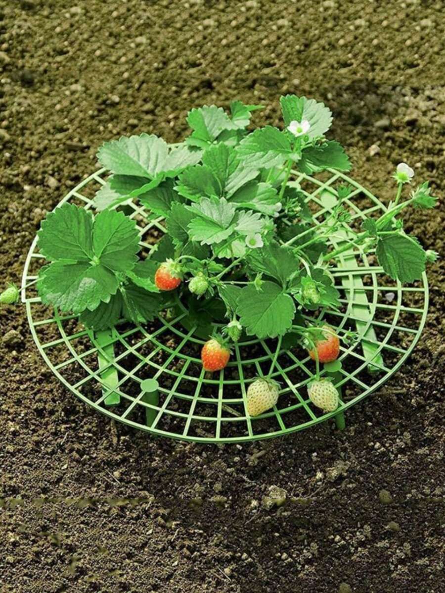 1 pieza de plástico fresa soporte - Verde - Ver 1