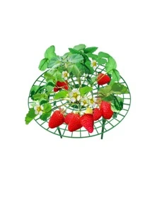 1 pieza de plástico fresa soporte - Verde - Ver 5