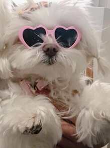 1 kính thú cưng hình trái tim cho chó và mèo ngoài trời - Hồng - Xem 1