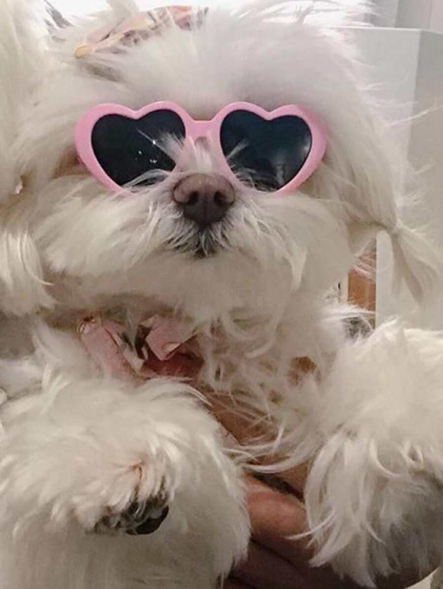 1 kính thú cưng hình trái tim cho chó và mèo ngoài trời - Hồng - Xem 1