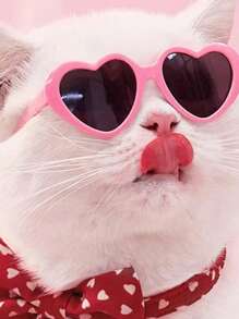 1 kính thú cưng hình trái tim cho chó và mèo ngoài trời - Hồng - Xem 3