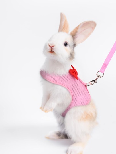 Supet 1pc Breathable Rabbit Harness & 1pc Leash For Small Animal For Outdoor