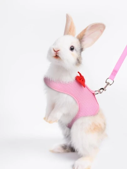 Supet 1 pieza transpirable conejo arnés con 1 pieza correa para pequeño animal para exterior