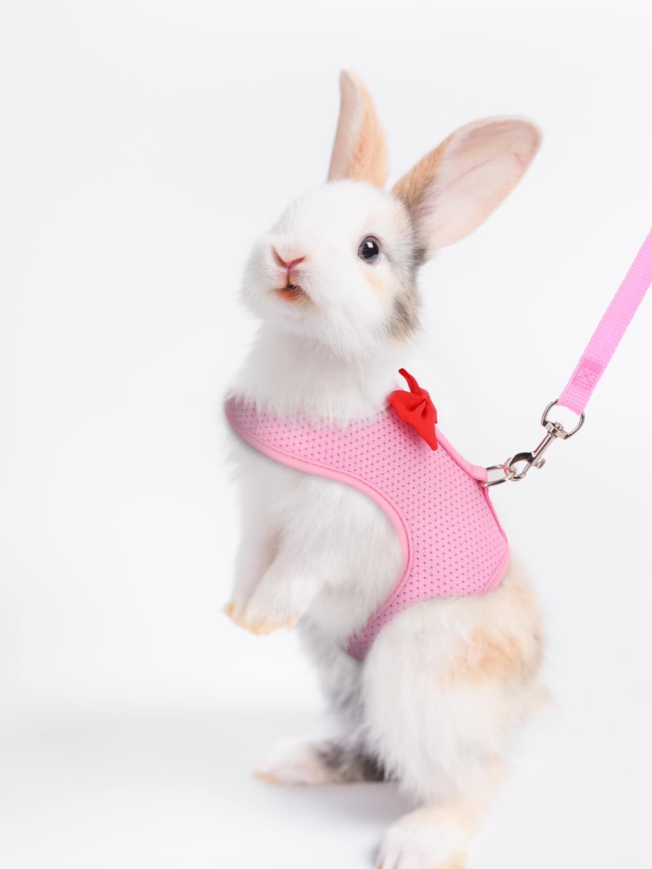 Supet 1pc Breathable Rabbit Harness & 1pc Leash For Small Animal For Outdoor