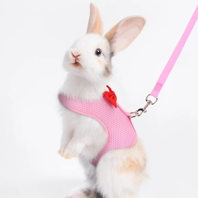 Supet 1 pieza transpirable conejo arnés con 1 pieza correa para pequeño animal para exterior