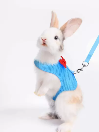 Supet 1pc Breathable Rabbit Harness & 1pc Leash For Small Animal For Outdoor