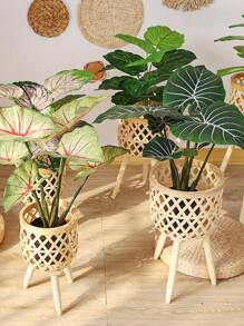 3 cái/bộ Hộp Đựng Cây Bằng Tre, Chậu Cây Rỗng Phong Cách Nhật Bản Để Trong Nhà - Màu be - Xem 2