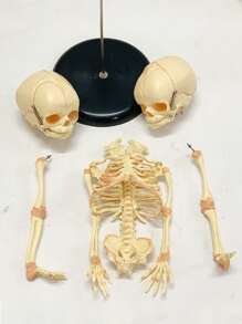 Thủ công trang trí thiết kế hộp sọ 1 cái - Màu vàng - Xem 6