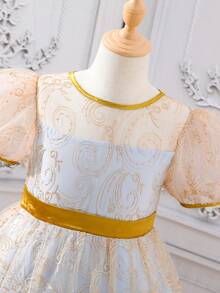 SHEIN Girls Floral Embroidery Puff Sleeve Mesh Overlay Dress - Multicolor - View 4